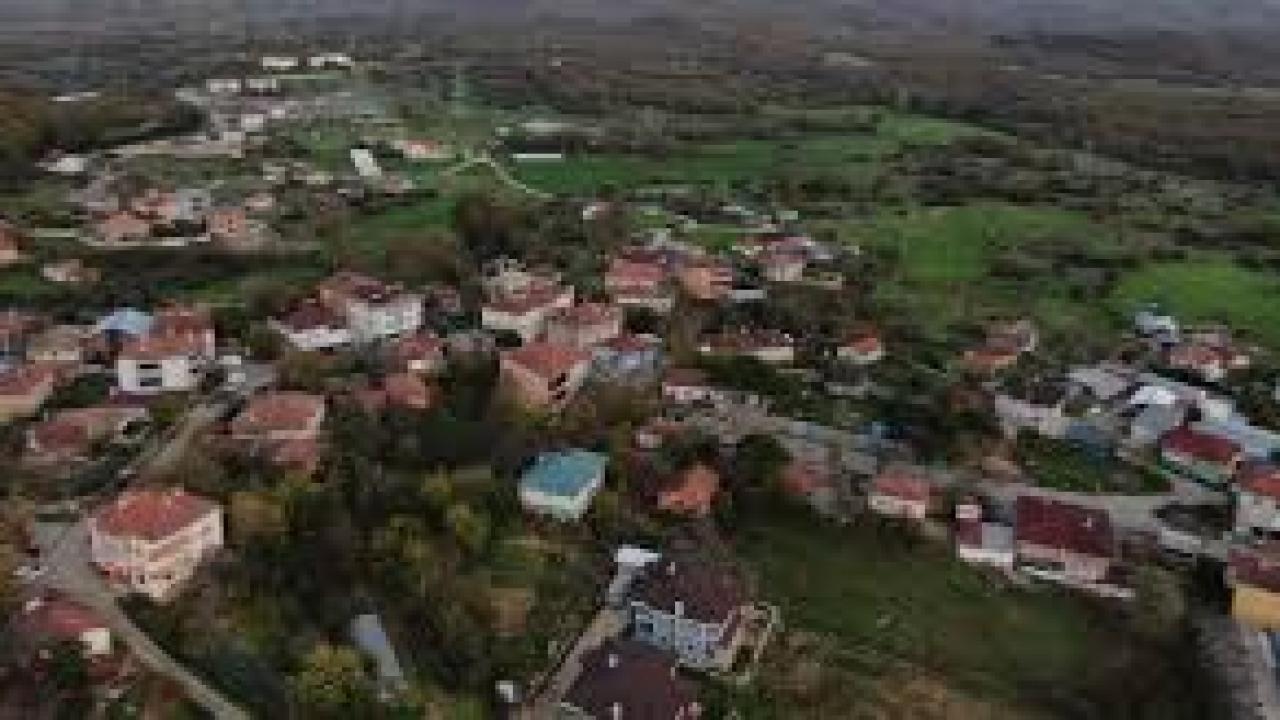 Şile’de şap alarmı: 3 köy karantinada, 18 mahalle gözetim altında
