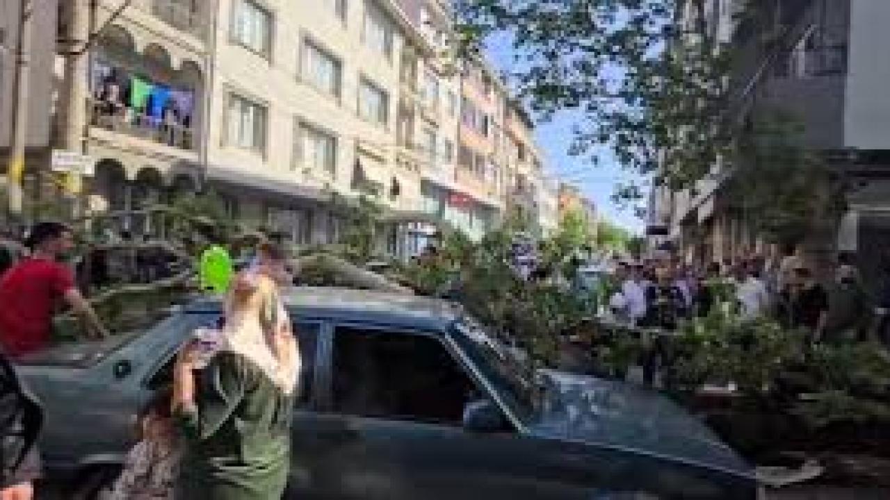 Bursa’da seyir halindeki araçların üzerine ağaç devrildi: 1 kişi yaralandı