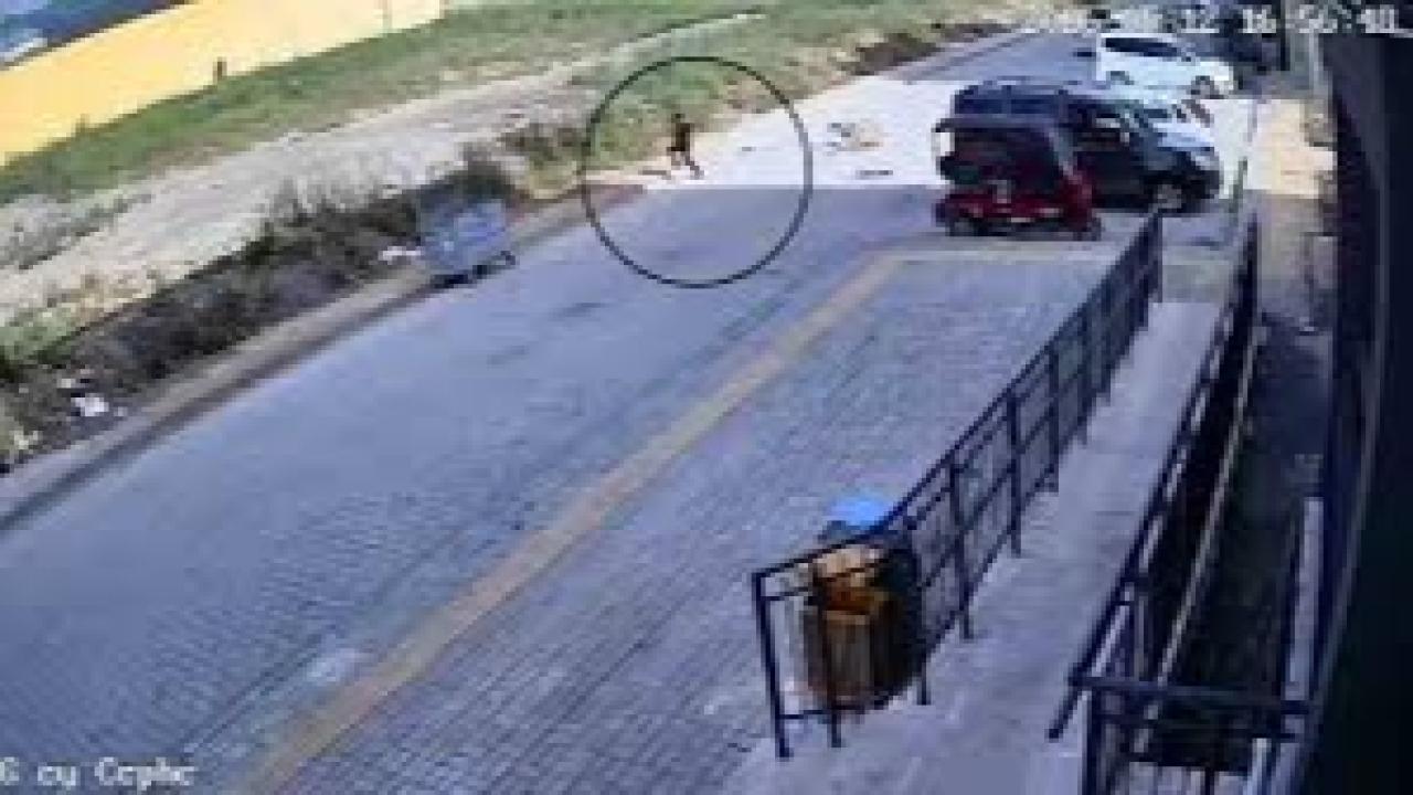 Sokak köpeklerinin saldırdığı 7 yaşındaki çocuk korku dolu anlar yaşadı