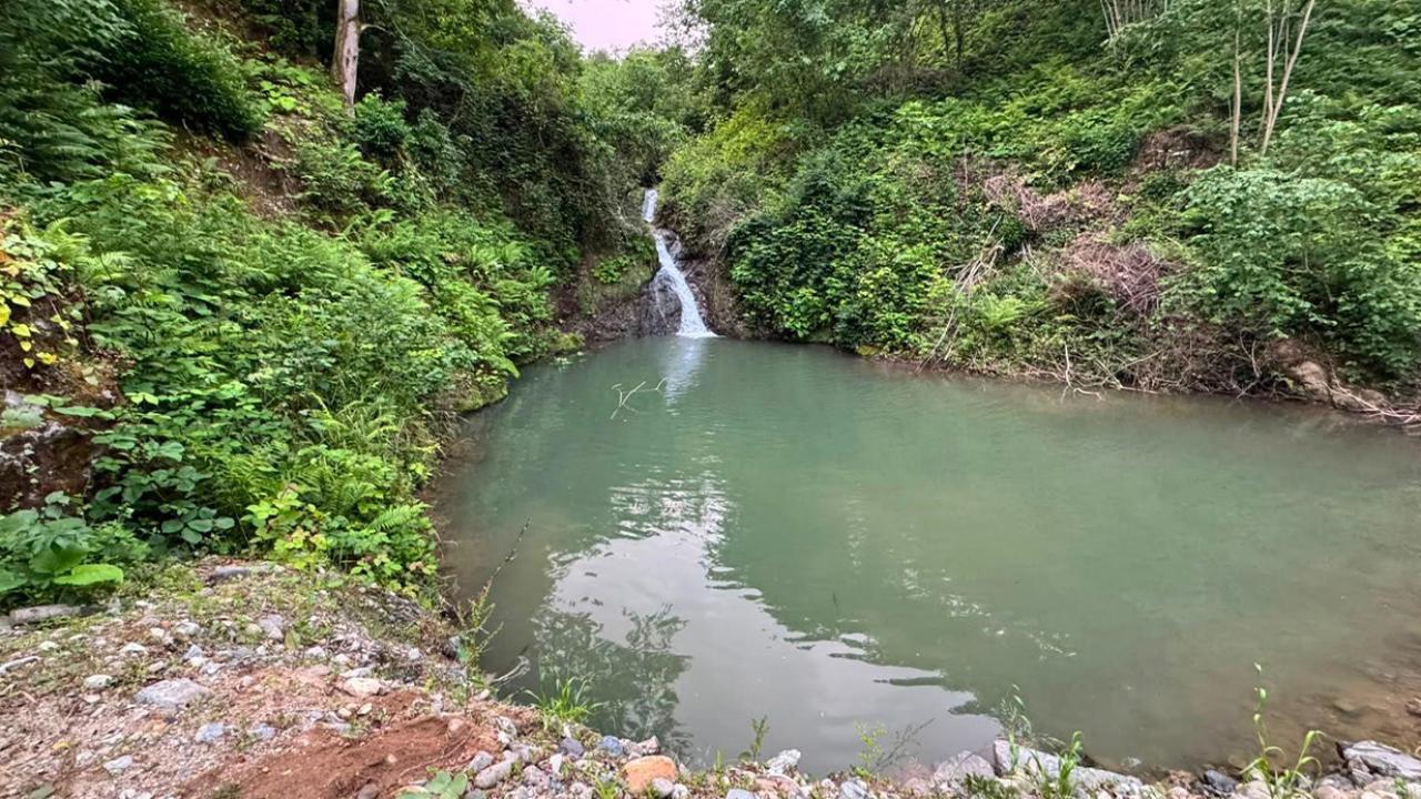 Artvin’de imam ve müezzin girdikleri gölette boğuldu