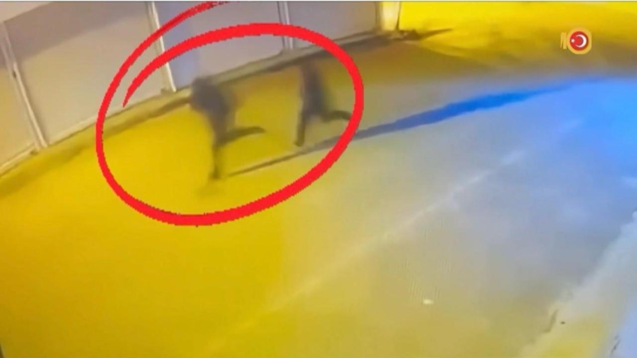 Diyarbakır’da silahlı suç örgütü şebekesi çökertildi