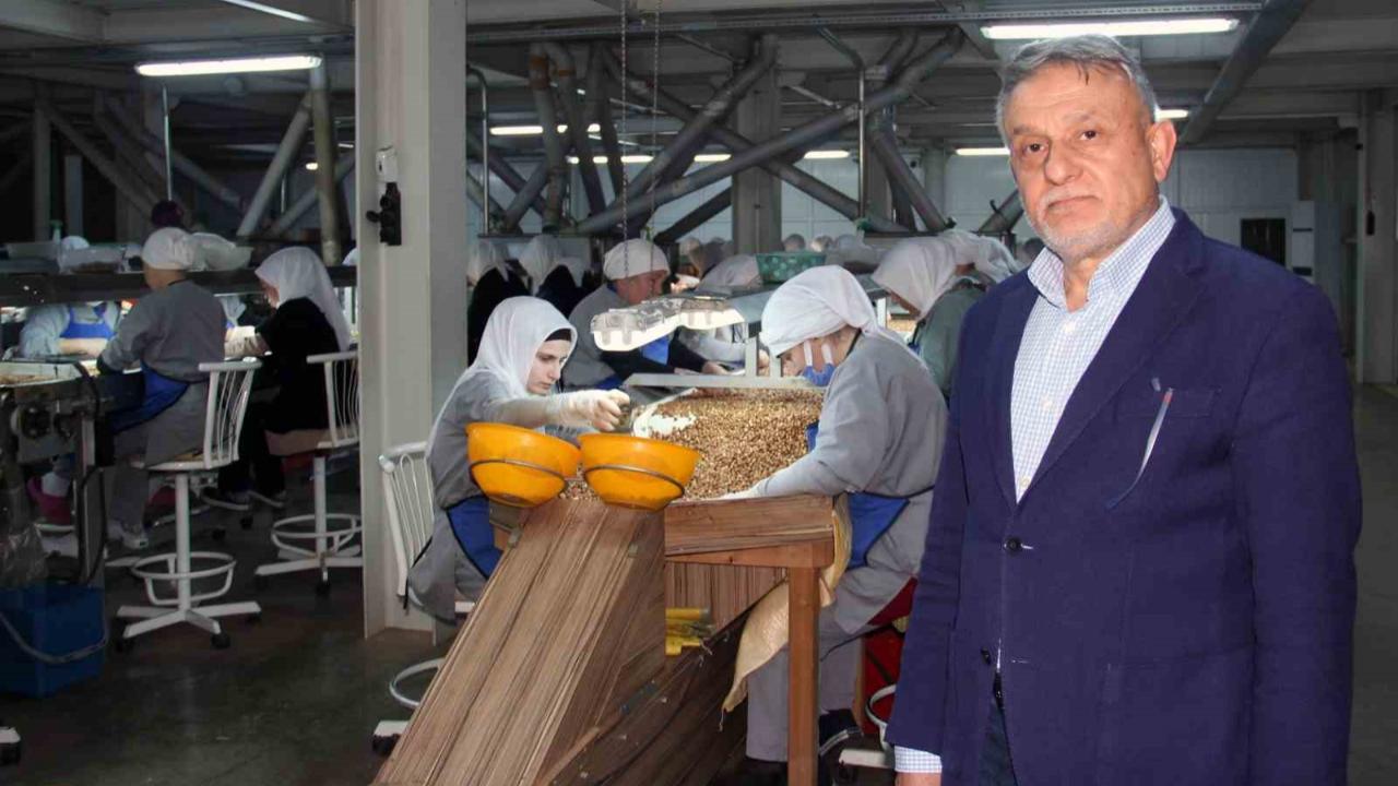 Fındık fiyatlarındaki düşüş sürüyor