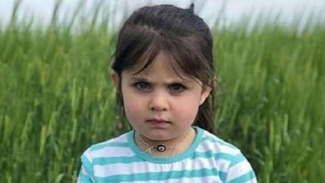 Leyla Aydemir davasında karar: Amcaya müebbet, 6 sanığa beraat