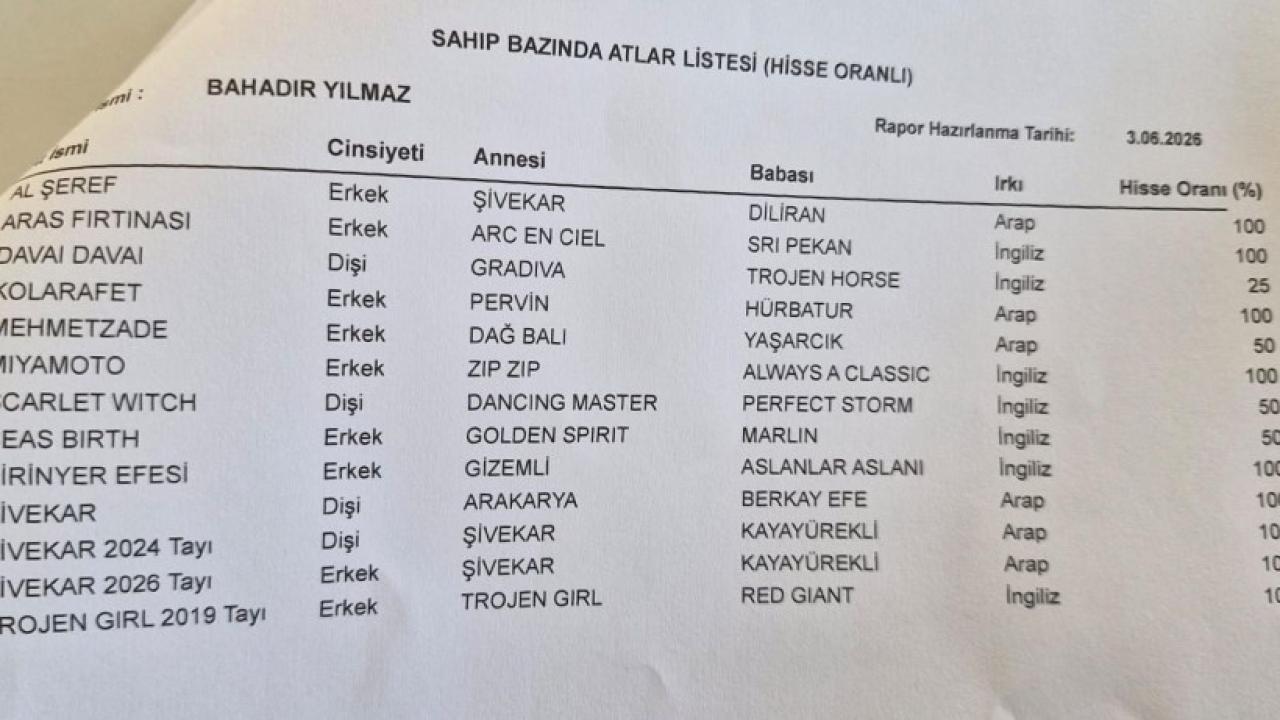 Memurun 13 yarış atı çıktı