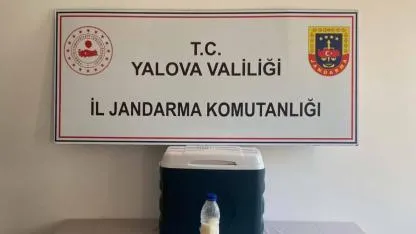 5 milyon dolarlık akrep zehri Yalova’da yakalandı