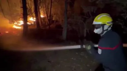 Fransa'da orman yangını: Yaklaşık 2 bin dönüm alan kül oldu