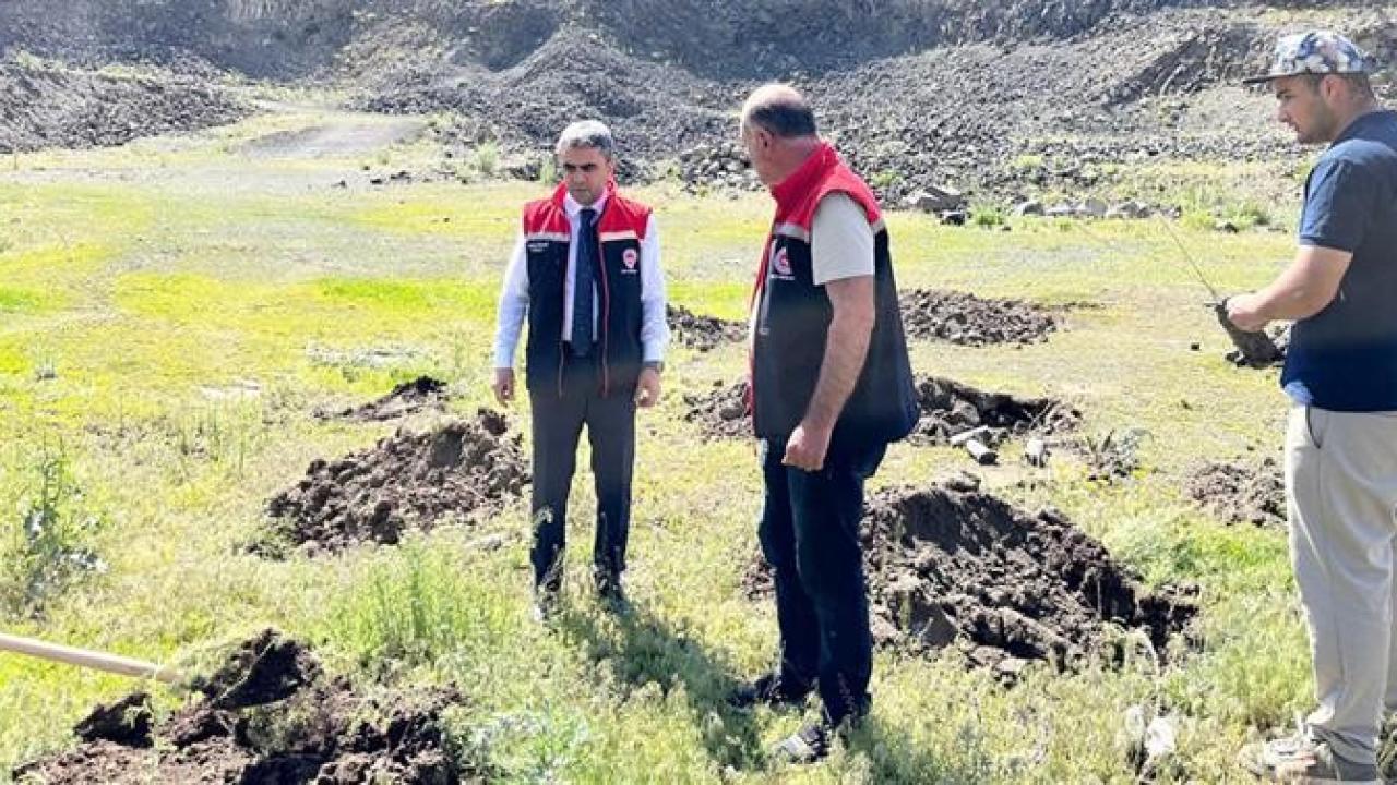 Hem toprağı koruyor hem hayvanları besliyor
