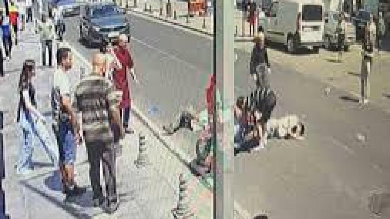 Yayanın dikkatsizliği kazayla sonuçlandı: 2 yaralı